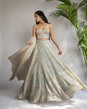 Powder Blue Embellished Printed Lehenga Set