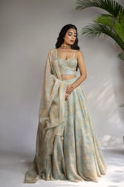 Powder Blue Embellished Printed Lehenga Set