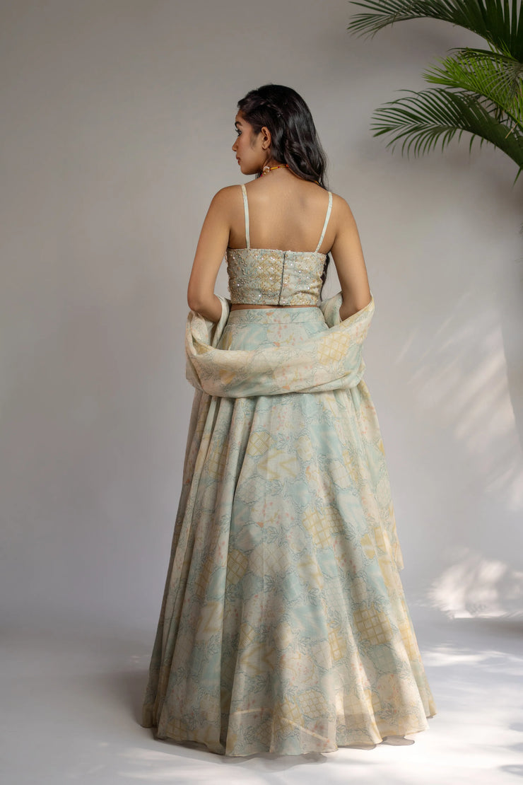 Powder Blue Embellished Printed Lehenga Set