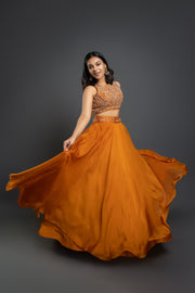 Orange Embellished Lehenga Set